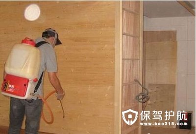 房屋裝修白蟻防治全攻略 專業措施與服務詳解