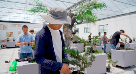 宿遷沭陽 “美麗”轉(zhuǎn)型“花”更香